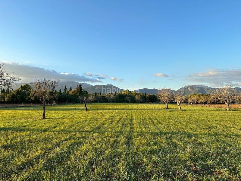 Foto 43b1059d-4da5-4620-9f27-648014a3150f. Terreny residencial a Selva