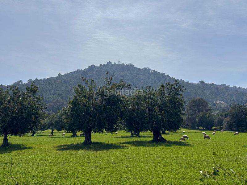 Foto a48b5113-02d7-47b9-984e-059928e41805. Terreny residencial a Selva
