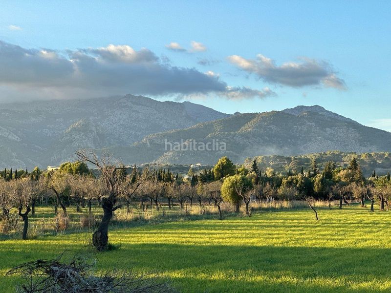 Foto b05990a3-e56f-415f-9f1d-85960d934cf2. Terreny residencial a Selva