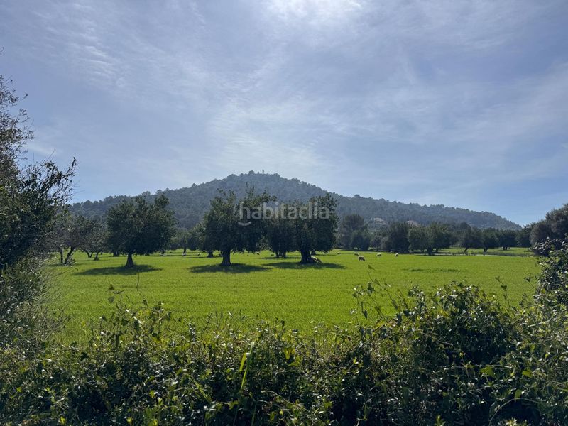Foto de199072-25ef-42fa-9076-db2c945f58ab. Terreny residencial a Selva