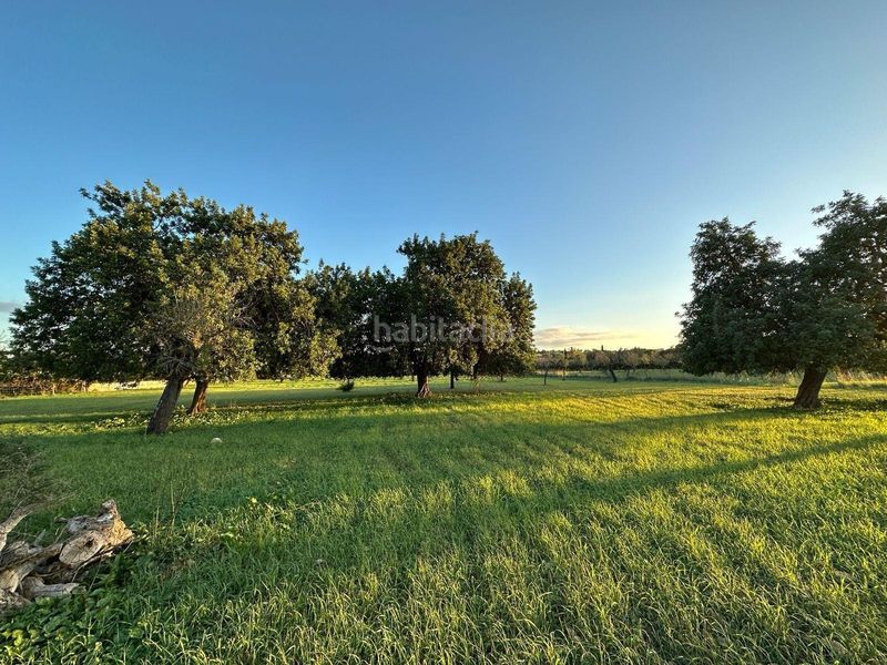 Foto f56c9476-54ab-4916-ba35-f6a66c551fcf. Terreny residencial a Selva