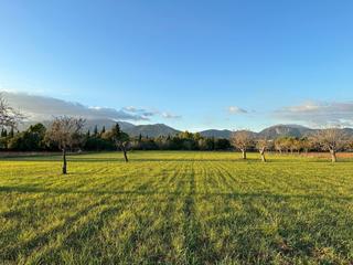 Terreno residencial  Camino selva. Terreno con proyecto y licencia de obra frente a la sierra tramu