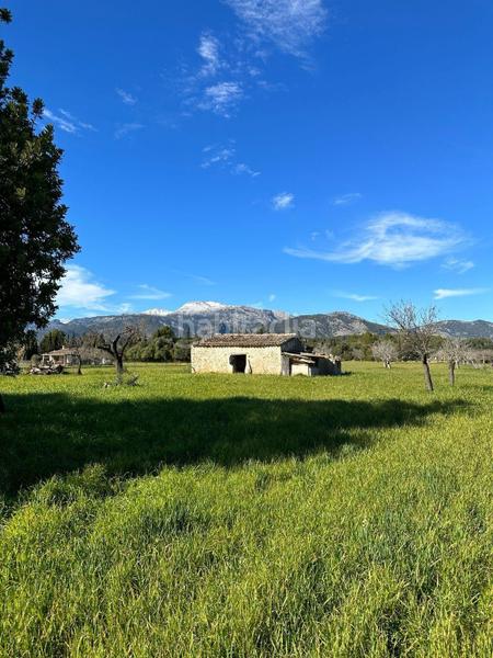 Foto 2da3a930-28ab-4310-aadf-7e42434b1416. Terreny residencial a Selva