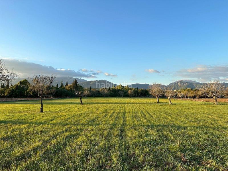 Foto f848f196-95bd-438c-98bb-b985540e9f7d. Terreny residencial a Selva