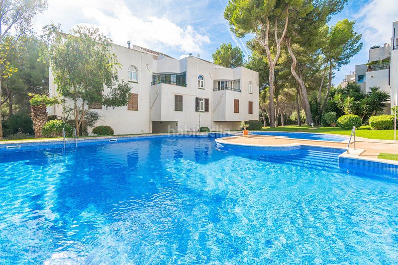 Foto c409341b-cbd5-403b-8bf3-1f6533192068. Duplex con riscaldamento parcheggio piscina in Sol de Mallorca Calvià