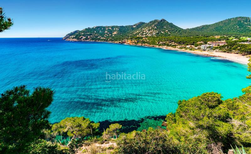 Foto 16aedb64-3399-45cf-aab0-111c5512eae2. Pis amb aparcament piscina a Capdepera poble Capdepera