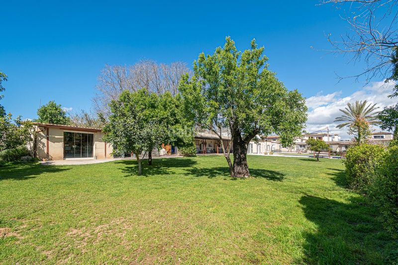 Foto 10ae346a-fc8e-4d14-9bbe-5b6920aff298. Casa amb calefacció aparcament piscina a Son Sardina Palma de Mallorca