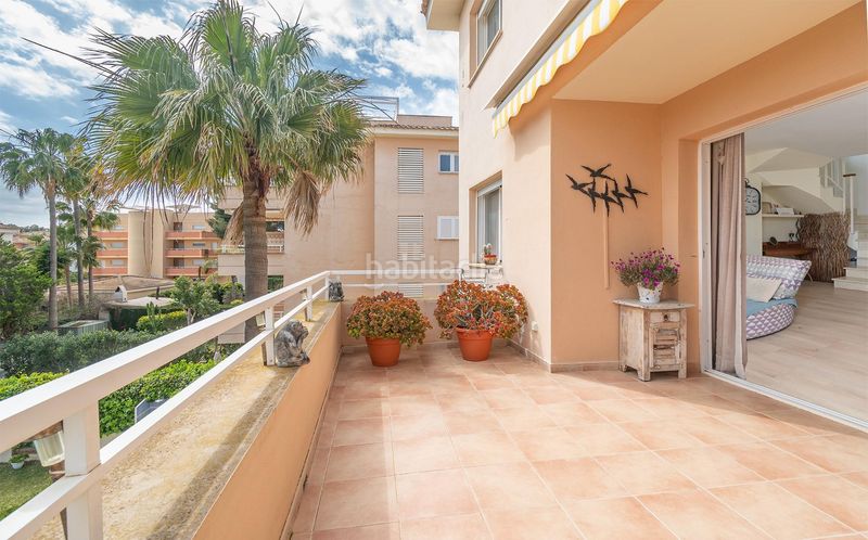 Foto 5e95e3e2-39ec-4ebc-95c4-30a487809906. Àtic amb piscina a Maioris-Puig de Ros Llucmajor