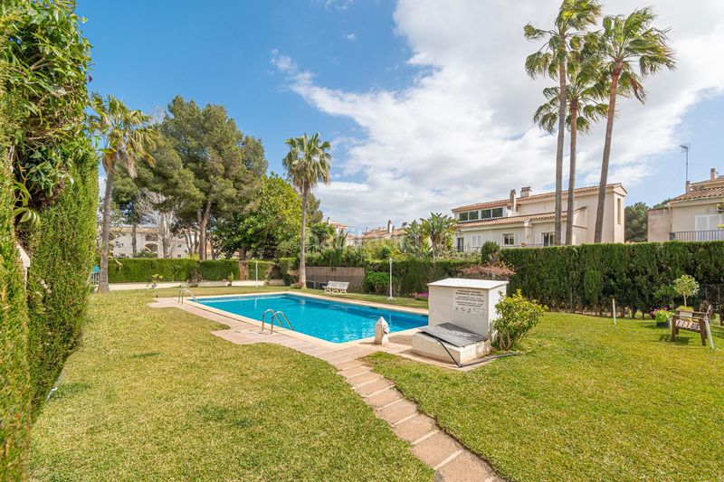 Foto 5fad0e69-9d86-4921-94a7-711e128ca43e. Àtic amb piscina a Maioris-Puig de Ros Llucmajor