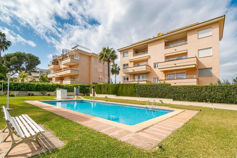 Foto 8a12d9ed-0081-45c7-a7b6-5cae77e10a9b. Àtic amb piscina a Maioris-Puig de Ros Llucmajor