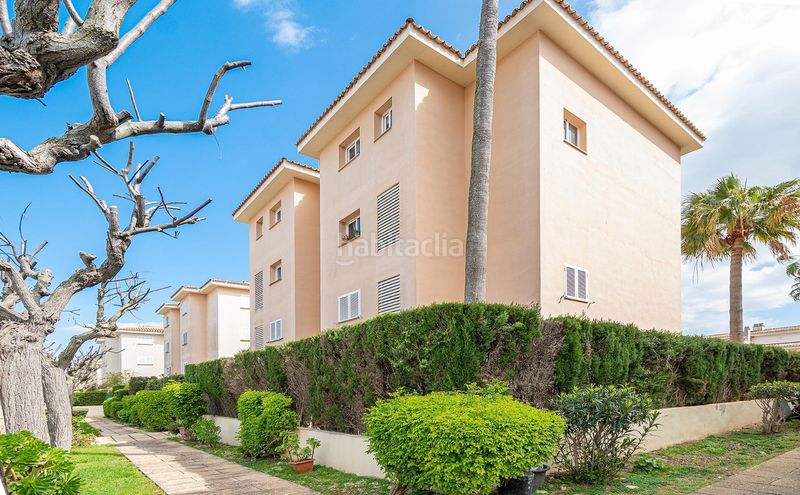 Foto ab655073-409a-4743-8c7e-aa40746ff171. Àtic amb piscina a Maioris-Puig de Ros Llucmajor