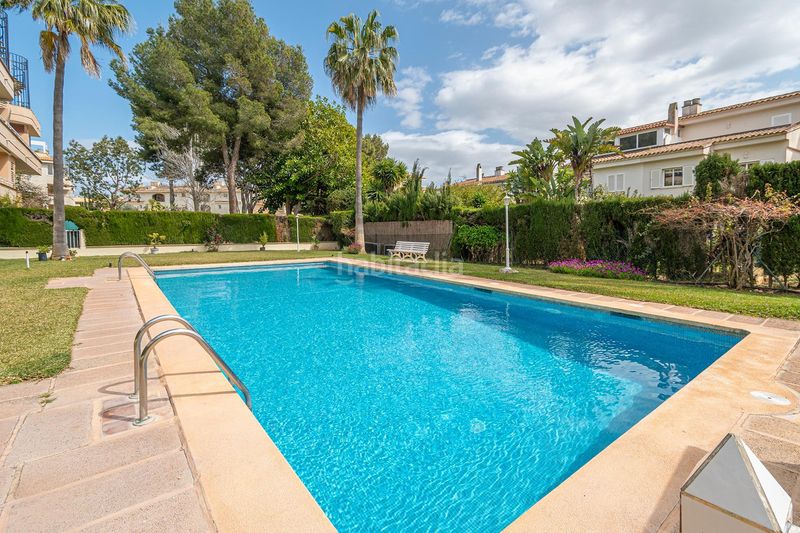 Foto c9b15144-ba1b-4e27-a970-9e3d4fa04e64. Àtic amb piscina a Maioris-Puig de Ros Llucmajor