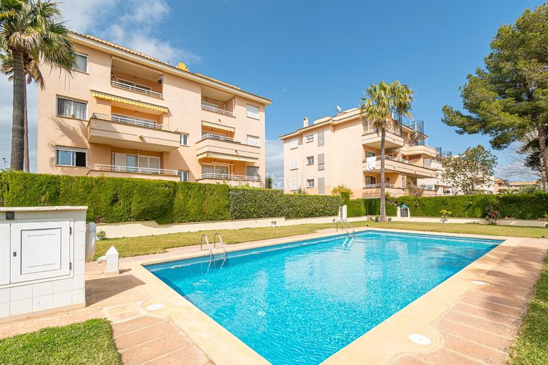 Foto e86d0aa1-6f15-4789-9afd-2fde9492fefd. Àtic amb piscina a Maioris-Puig de Ros Llucmajor