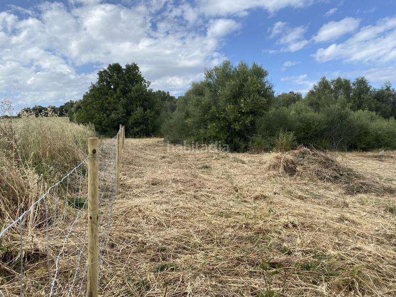 Foto 24b937a3-be6e-4a9f-8d32-c8b928188ac4. Fondo rustico in Muro