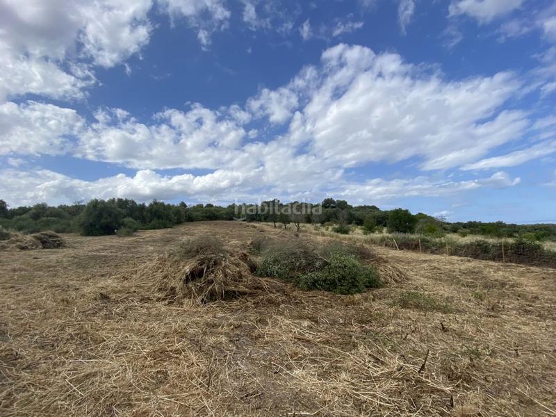 Foto 7df14911-52a3-4c5f-bec2-52d728e2efc1. Fondo rustico in Muro