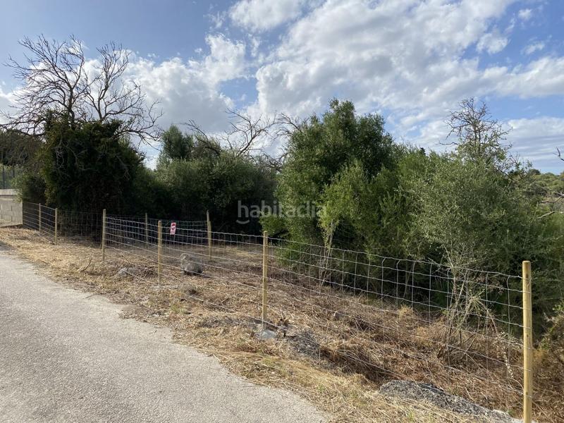 Foto ecad611b-3a7a-4246-8656-0ba760655527. Fondo rustico in Muro