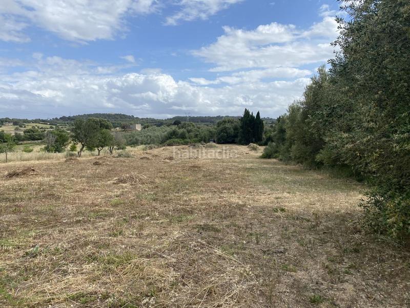 Foto eda11841-3d2c-4960-9513-d7eec67d86c2. Fondo rustico in Muro