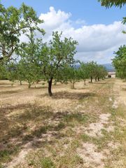 Rural plot in Zona Periurbana. Finca rústica con encanto cerca de inca plantación de almendros