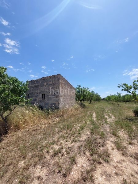 Foto 54379899-fe32-428b-8489-c5f51079708a. FInca rústica a Zona Periurbana Inca