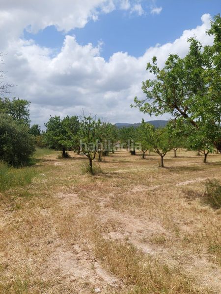 Foto 6e7555ee-ea84-4494-a32d-e136ef0ece8b. FInca rústica a Zona Periurbana Inca
