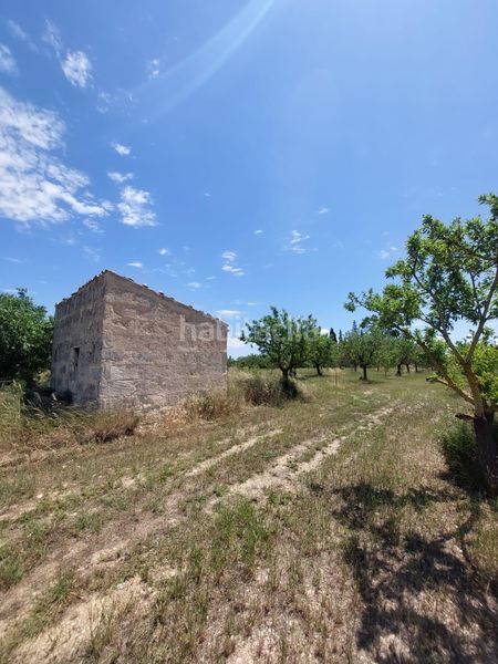 Foto b55675c0-dae3-4acb-b47b-f23e5f5e063a. FInca rústica a Zona Periurbana Inca