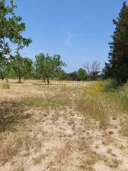 Foto cf20f507-f1da-4d77-a60b-817935e09b29. FInca rústica a Zona Periurbana Inca