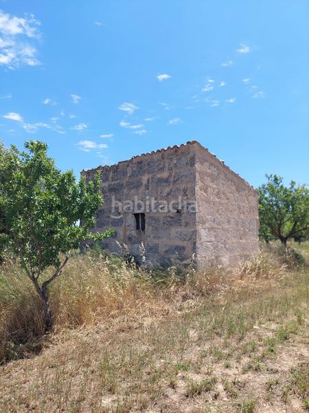 Foto e98e605e-ab14-4c4a-b110-1f3f2b519ba7. FInca rústica a Zona Periurbana Inca