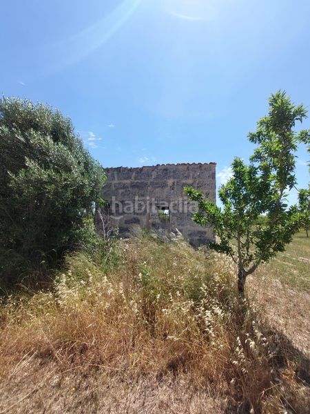 Foto f316e533-1573-4f11-b3bb-e2feff0672e4. FInca rústica a Zona Periurbana Inca