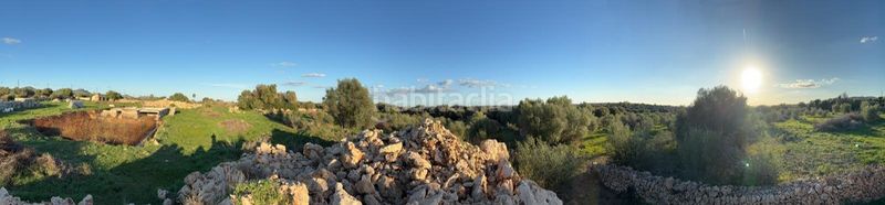 Foto 0f7343e1-f480-4f35-95b5-a3d819fcc808. Finca rústica a Sant Llorenç des Cardassar