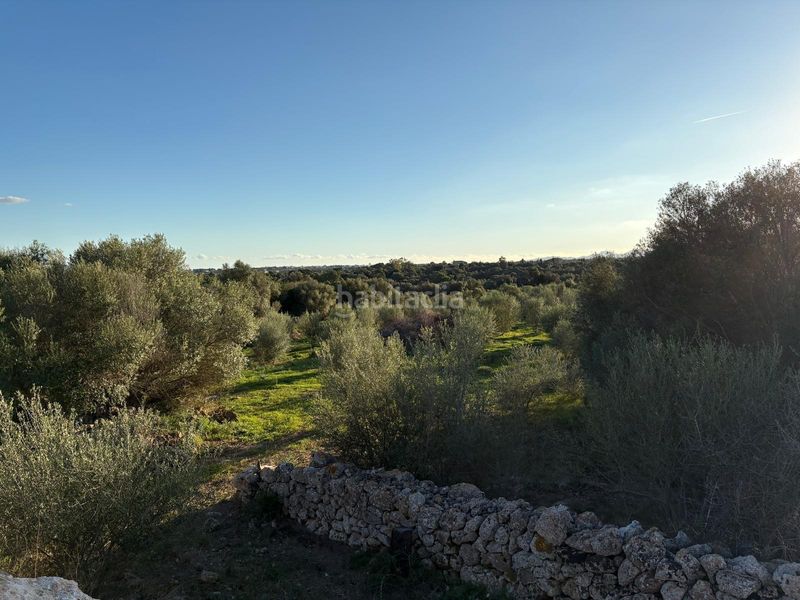 Foto 304f6c51-dce5-43e9-8a6a-d6ef286592e2. Finca rústica a Sant Llorenç des Cardassar