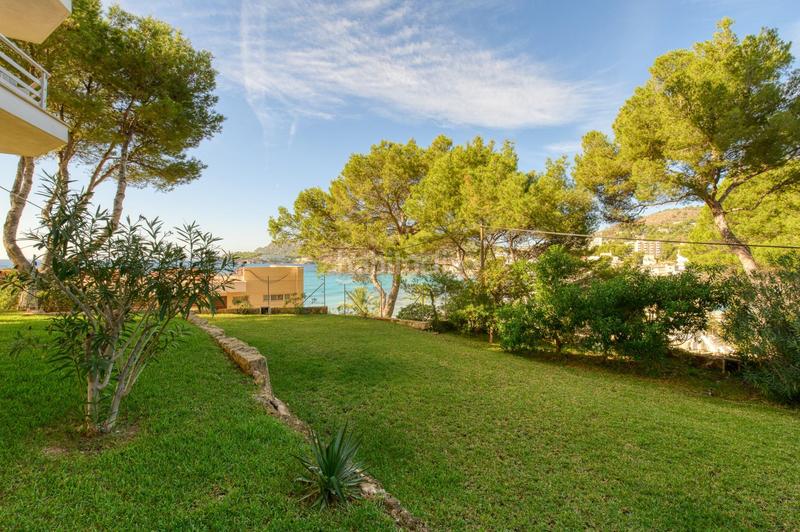 Foto f41cef11-e18b-4479-87a3-f354289b6c74. Affitto appartamento con piscina in Peguera Calvià