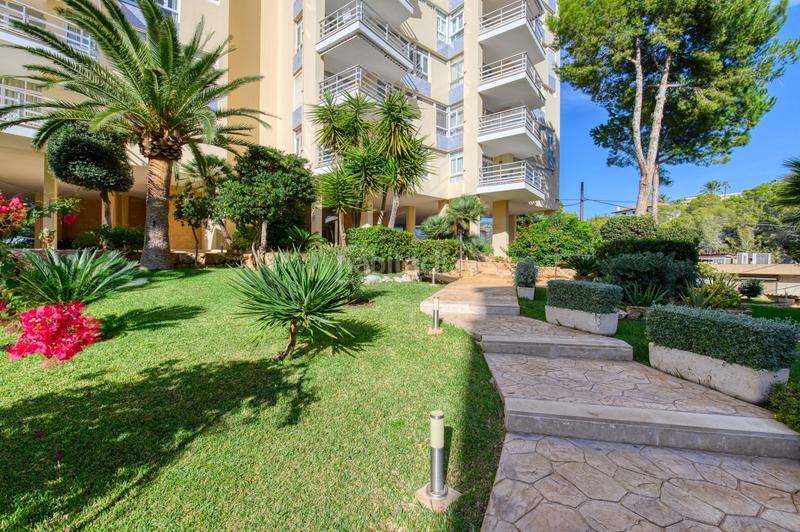 Foto 5fcc02ec-790e-407c-8b32-b7c37d98ed37. Rent flat with pool in Peguera Calvià