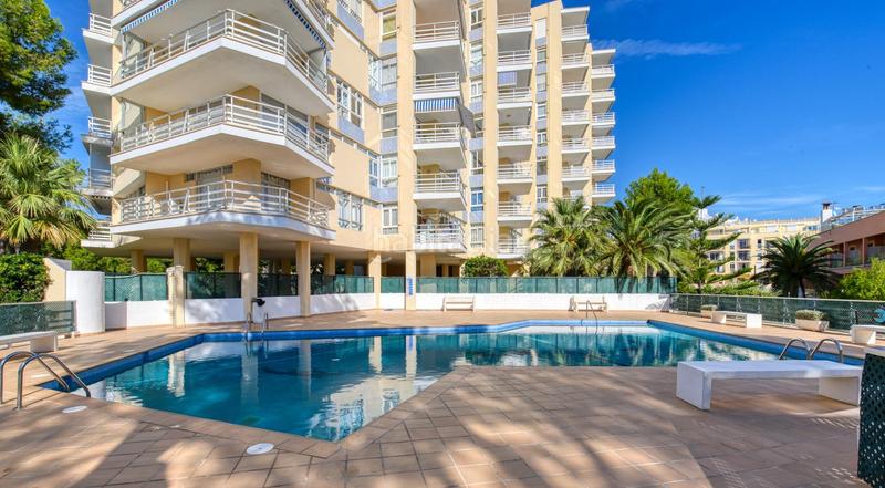 Foto ef3978c9-e1df-4c82-818c-cefdeca609e4. Rent flat with pool in Peguera Calvià