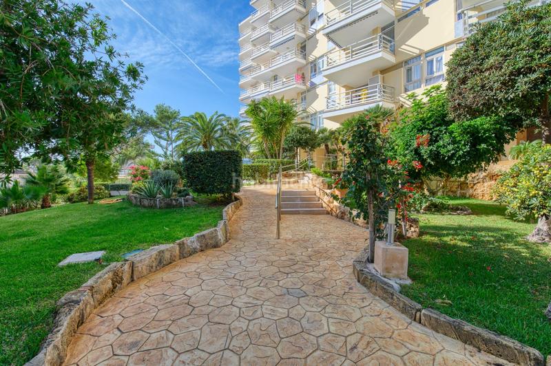 Foto f2f51ae4-ca7d-47c0-b9b3-eb2223af06b2. Rent flat with pool in Peguera Calvià