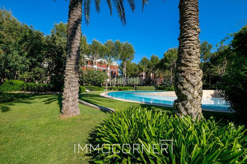 Foto 00aec752-52b5-41c1-8ac1-652bd709a3b1. Lloguer àtic amb aparcament piscina a Portals Nous Calvià