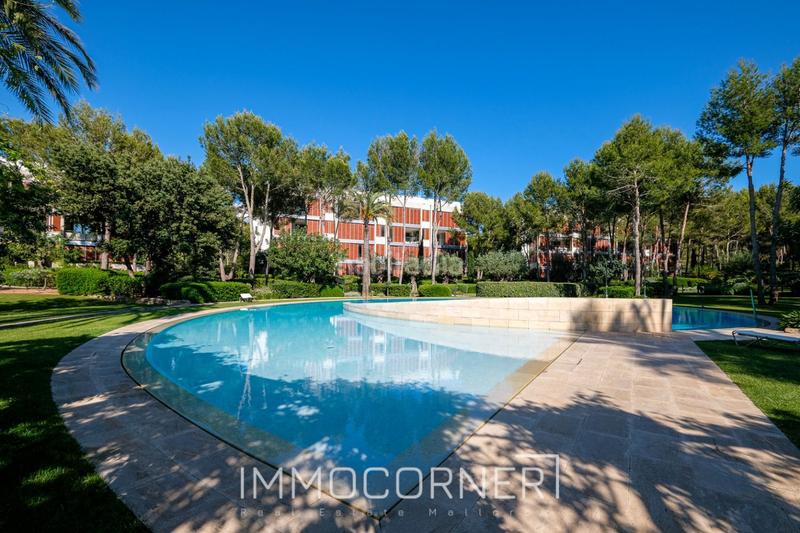 Foto 0efa430e-cdc0-4080-a447-b3ae45573c0c. Lloguer àtic amb aparcament piscina a Portals Nous Calvià