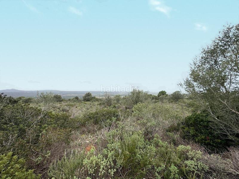 Foto abf02b41-cd69-4f90-9293-aef3c571a52e. Terreno residenziale in Marratxinet Marratxí