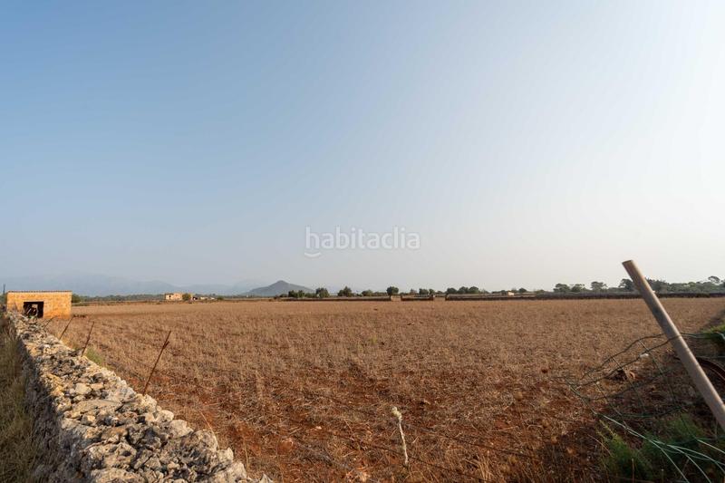 Foto 3ebabc57-af4c-4c90-aeb2-bf005c8a53e0. Terrain résidentiel dans Centro Inca