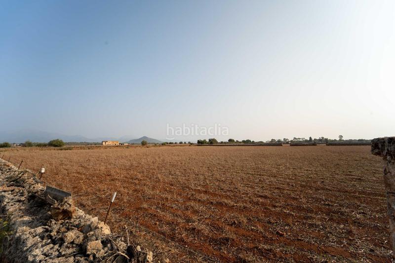 Foto 539db15e-07a5-459b-90ad-59b362d8203c. Terrain résidentiel dans Centro Inca