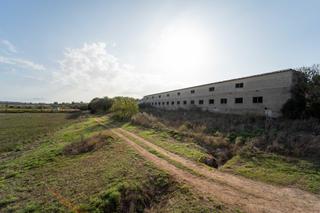 Mas  Polígono diseminados poligono. Venta de espectacular finca en ariany  con cedula de habitabilid