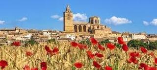 Rural plot  Alameda sineu. Oportunidad finca en venta en sineu apta para construir chalet