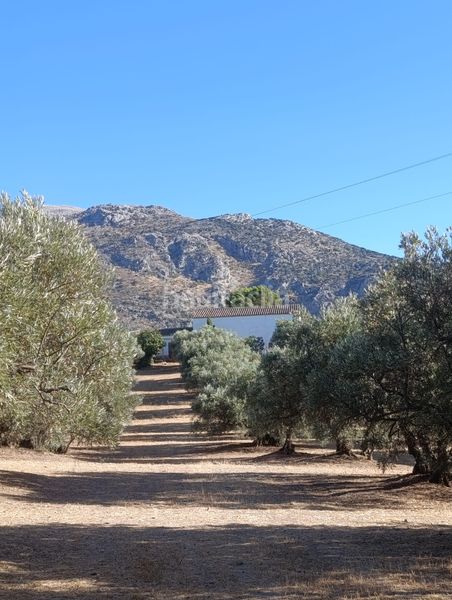 Foto b635a885-f33a-4725-8080-bf52de0e9939. Casale con camino parcheggio piscina in Villanueva del Rosario
