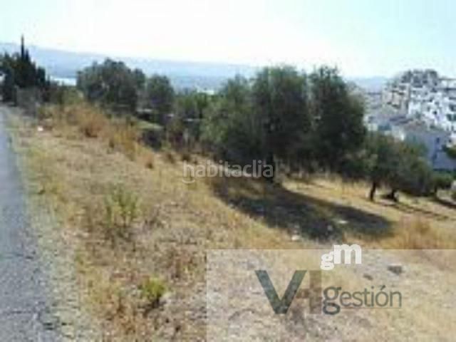 Foto 5fddb7cd-795d-4174-a5eb-f514d66b7d48. Terreny residencial a Arcos de la Frontera