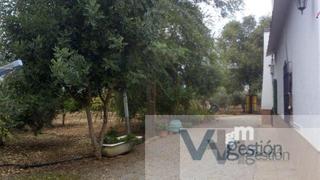 Xalet a Villamartín. Villamartínchalet