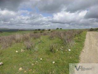 Residential Plot in Arcos de la Frontera. Arcos de la fronteraterreno