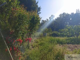 Country house en Bornos. Villamart�nfinca rustica