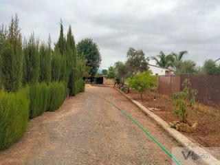 Bauernhof in Villamartín. Villamartínfinca rustica
