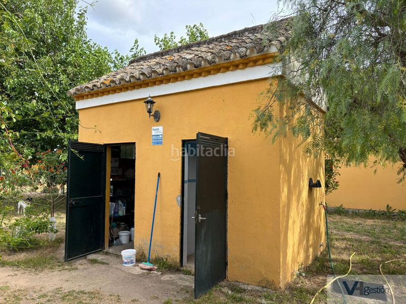 Foto bbbeeef6-74e5-48fb-b439-8ba9fa9bc0f5. Masia amb calefacció aparcament piscina a Morón de la Frontera