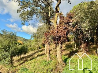 Terreny residencial a AVELLANEDA