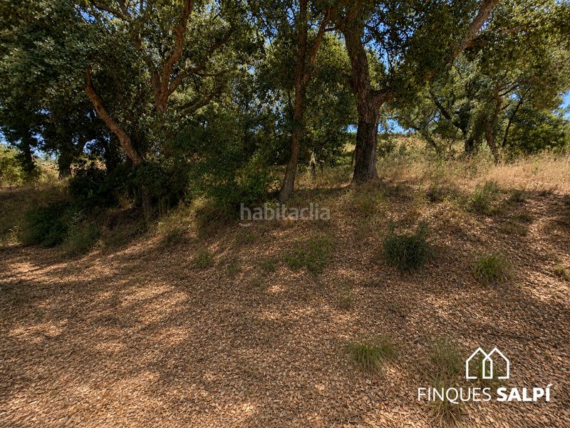 Foto 19b27b78-3b98-4135-9e88-88b693cbb47e. Masia a Golf Costa Brava Santa Cristina d´Aro